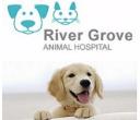 River Grove Animal Hospital logo